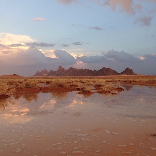 موقق