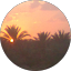 fadi hmd