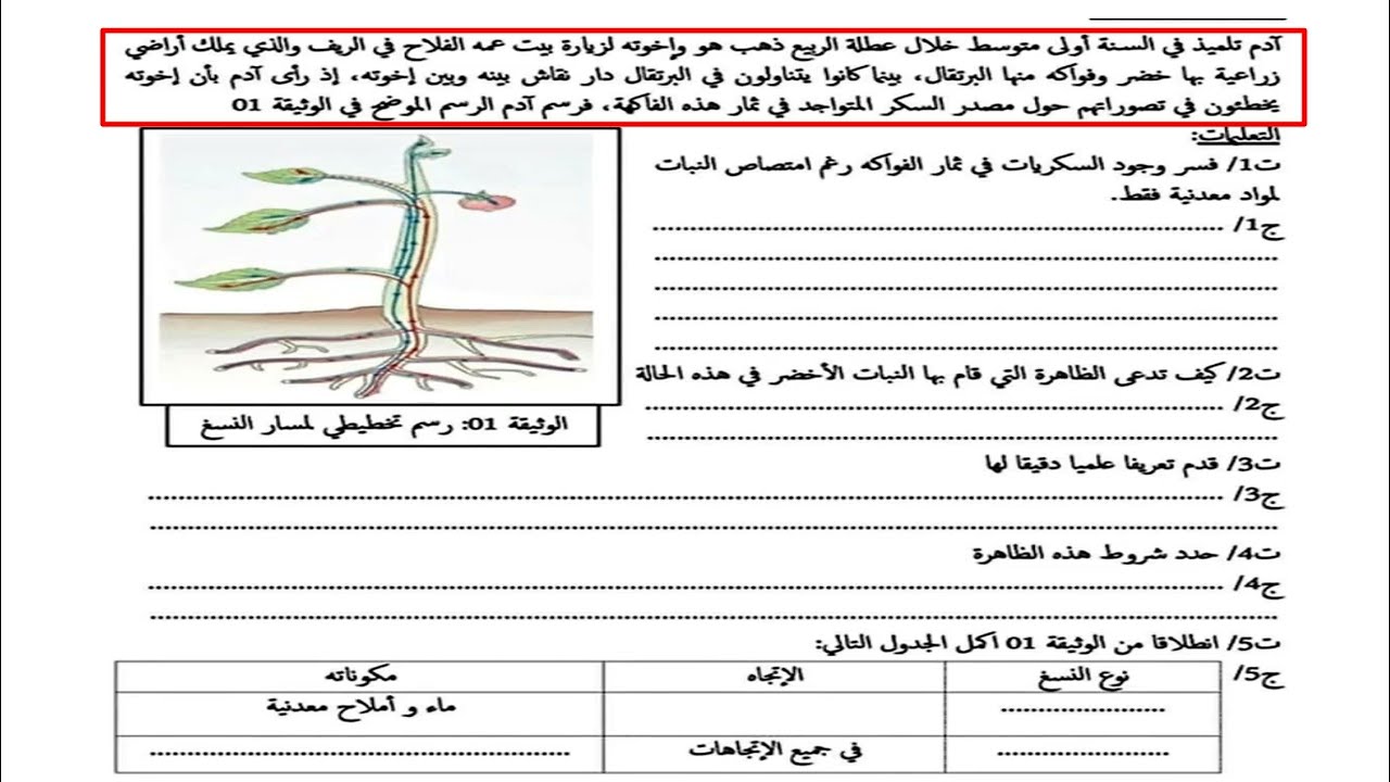 رأي حول دار النسخ 1 ملخص رأي عن دار النسخ وأفضل خيارات النشر للباحثين
